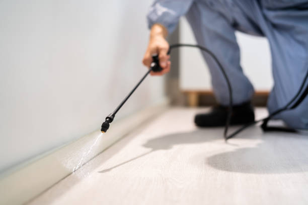 Licensed Cockroach Control service in Smithville, OH - Nex Pest Control